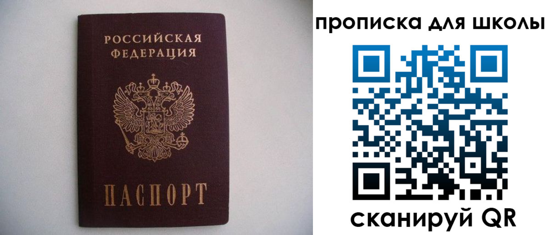 миграционный учет в Лосино-Петровском